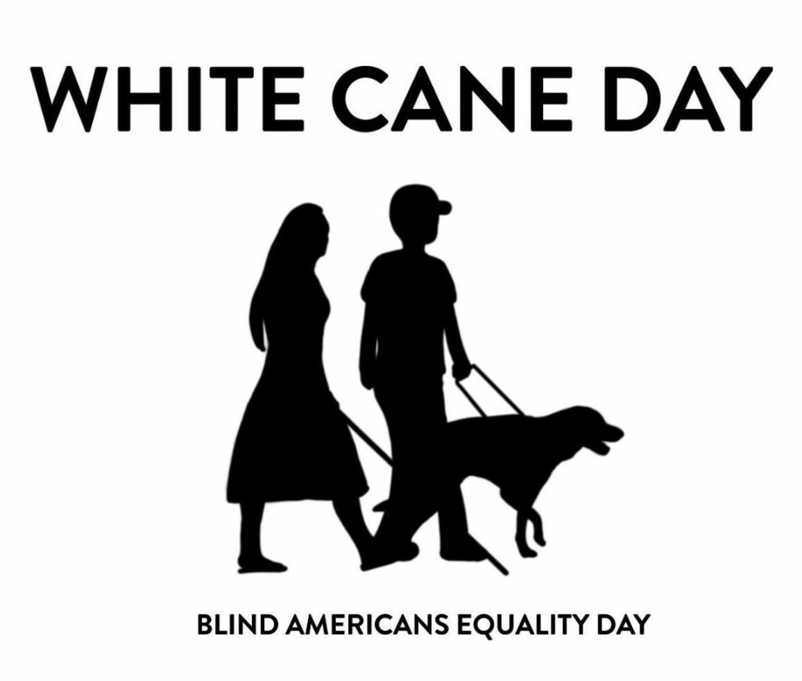 Lighthouse_Of_C's tweet photo. Lighthouse of Collier would like to invite you to participate in our
White Cane Safety Awareness Day.

Zoom Edition | October 15, 2020
Co-hosted by our sister agency,
New Vision for Independence

Please contact us for Zoom link information. https://t.co/yMqrZFVrPe