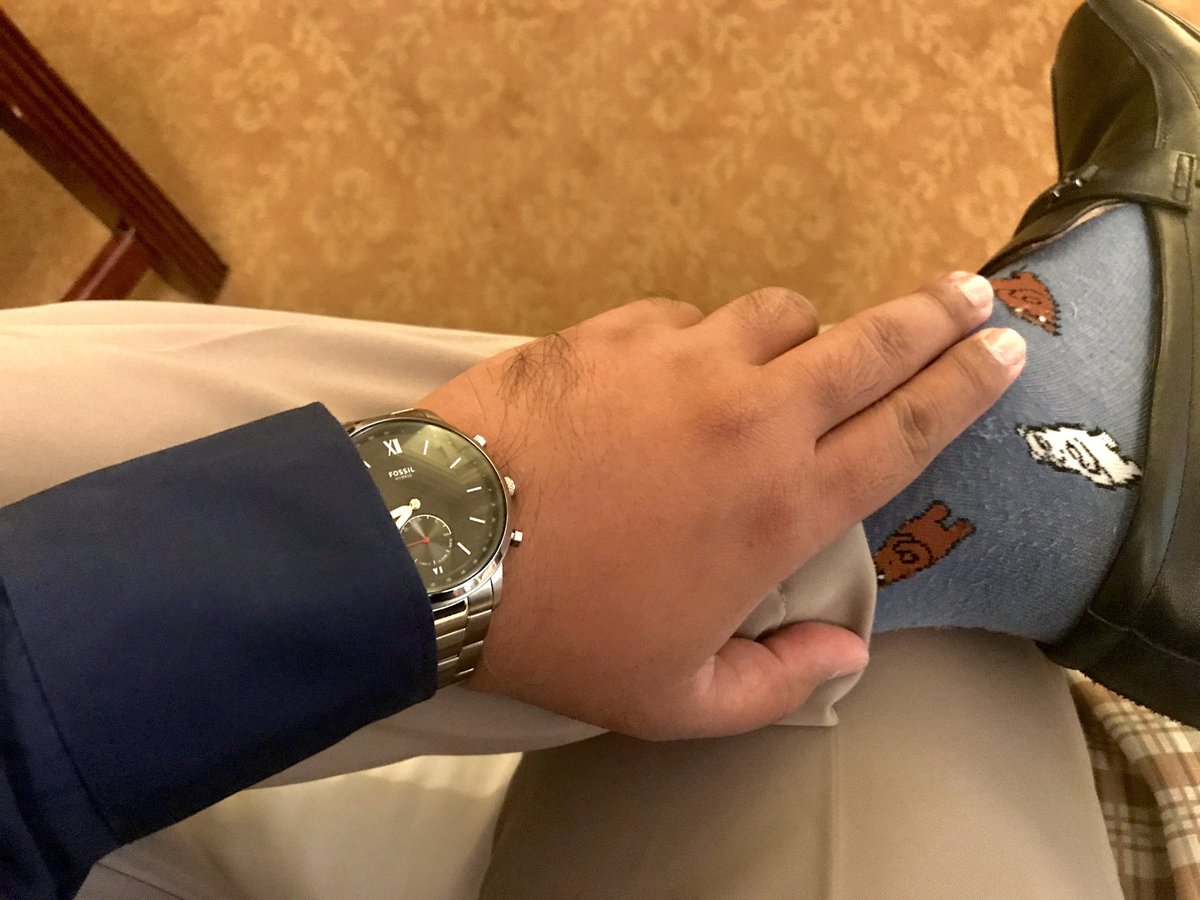 Maroon Stockyn'Bear tweet media