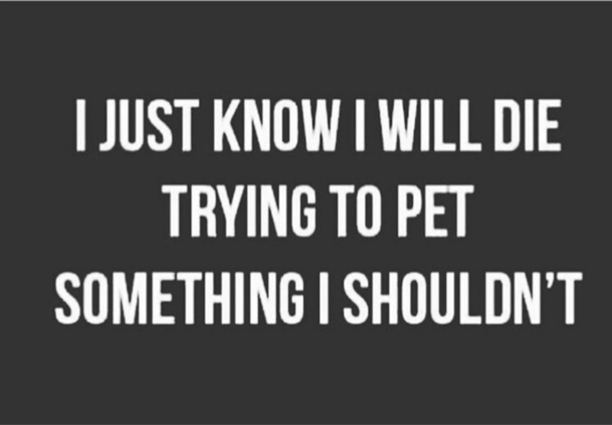 coachsteph_vb's tweet photo. @TheGoldenRatio4 Made me immediately think of this. https://t.co/XW1RL78CaV