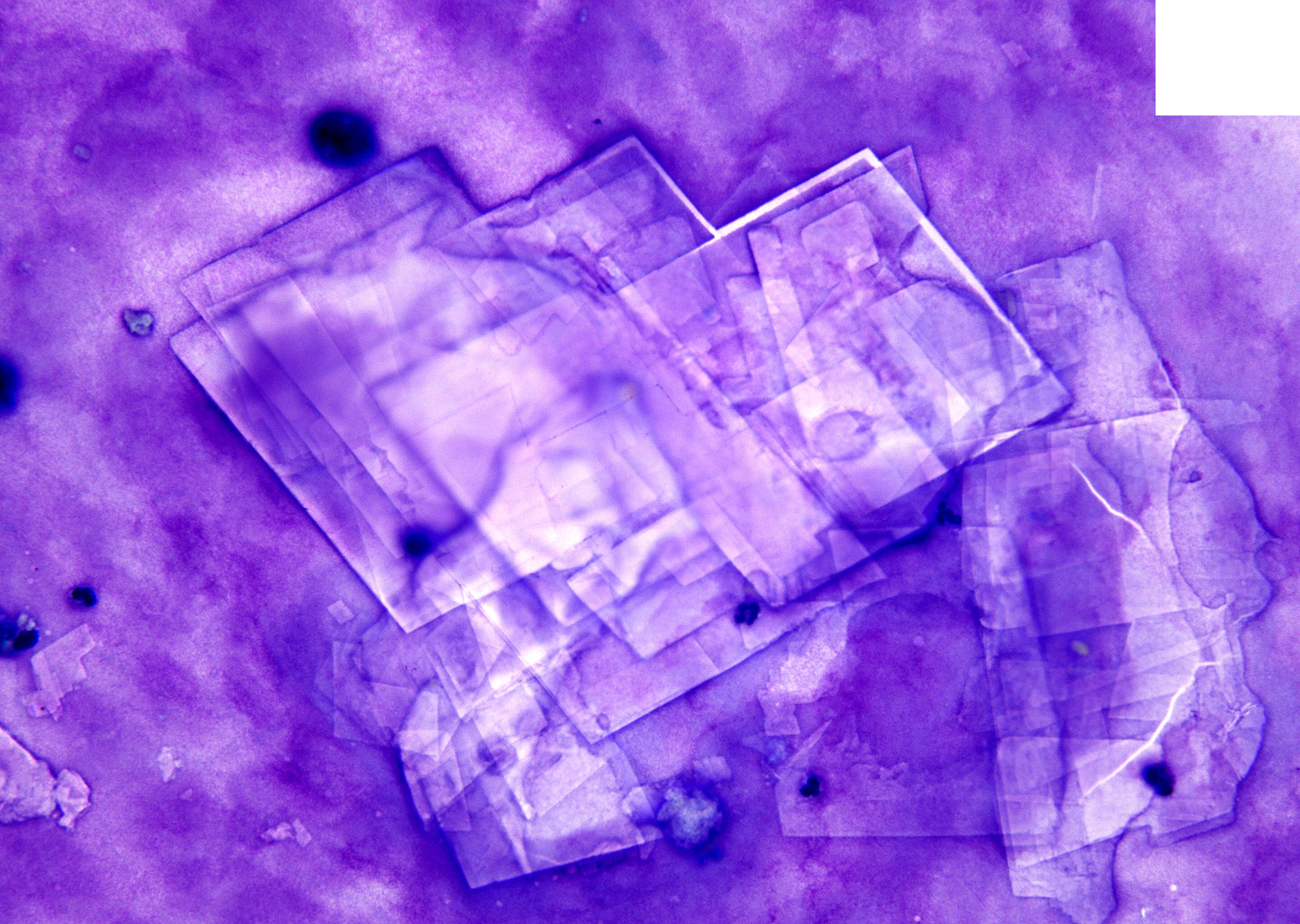 Discovering Mom'S Artistic Side: Artquest - elvawxx