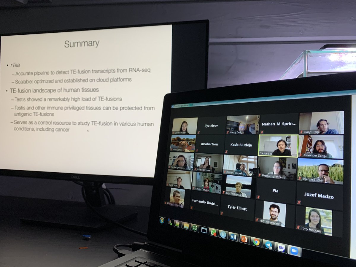 ilyavkirov's tweet image. What a fantastic yet unexplored  world of TE novelties! TE - mRNA fusions and TE exonization are frequent in certain tissues (e.g. testis). These RNAs may produce new immunogenic peptides as well. Exciting findings in talk of E. Alice Lee at #UppTransposon2020