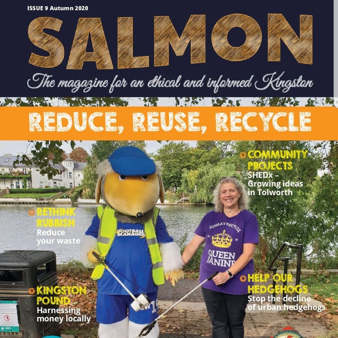Salmonmagazine's tweet photo. Autumn issue #Salmonmagazine now available! Printed copies can be picked up at Tolworth Market @FirstInTolworth this Sunday and from usual outlets next week.  Thanks to all our amazing advertisers - we couldn't do it without you!!!! @kingstonpound  @communitybrain 🐟🍁💚 https://t.co/0MlIlFx6g0
