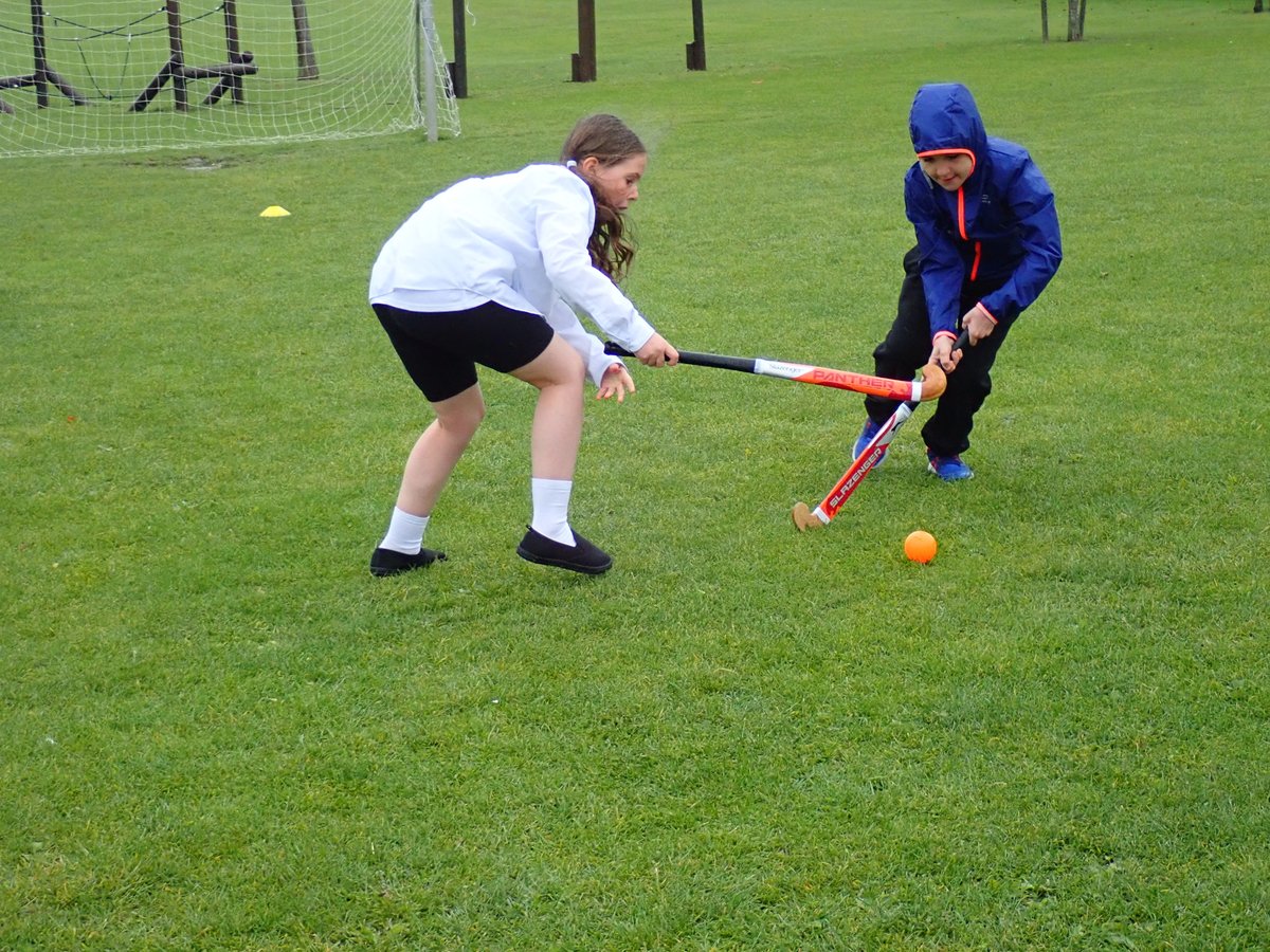 Howes Primary School tweet media