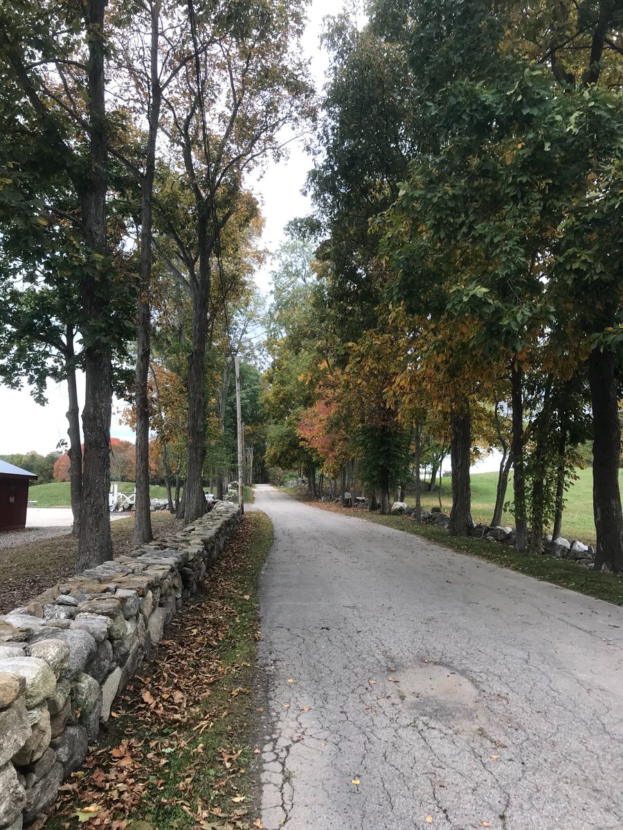 FreeStateBlockchain tweet media