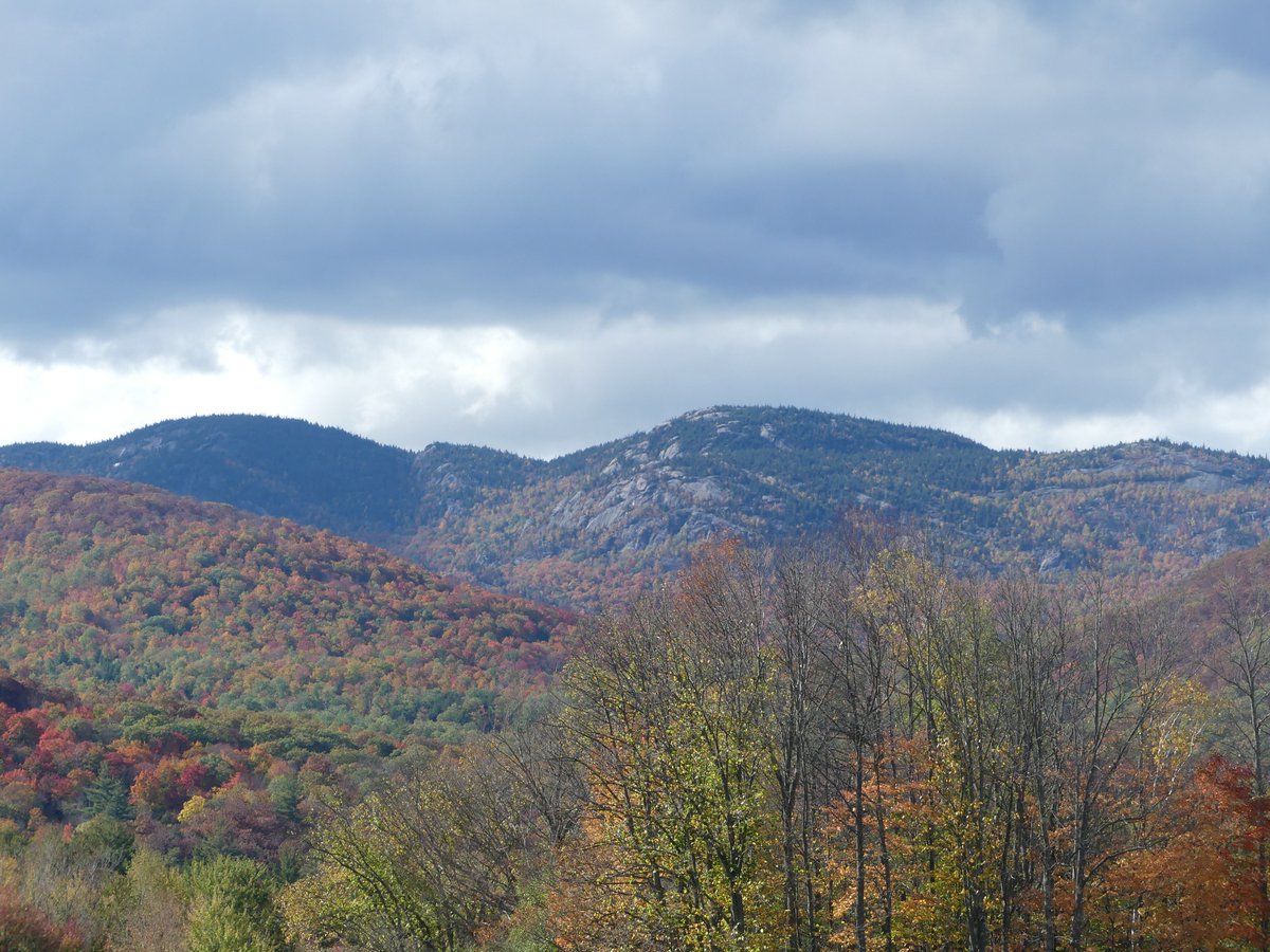 idreamofrving's tweet photo. Driving through the #Adirondacks with a stop in the town of #LakePlacid near #MirrorLake. Loving the autumn scenery (and Craig enjoying his craft brews!) #NYS #RVLife https://t.co/lvgqjkobMU