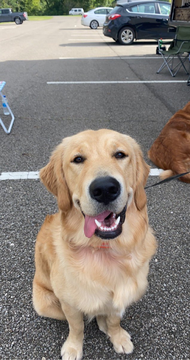 I’m tired of seeing all of this negative stuff on Twitter so here’s a picture of Kobe for everyone today