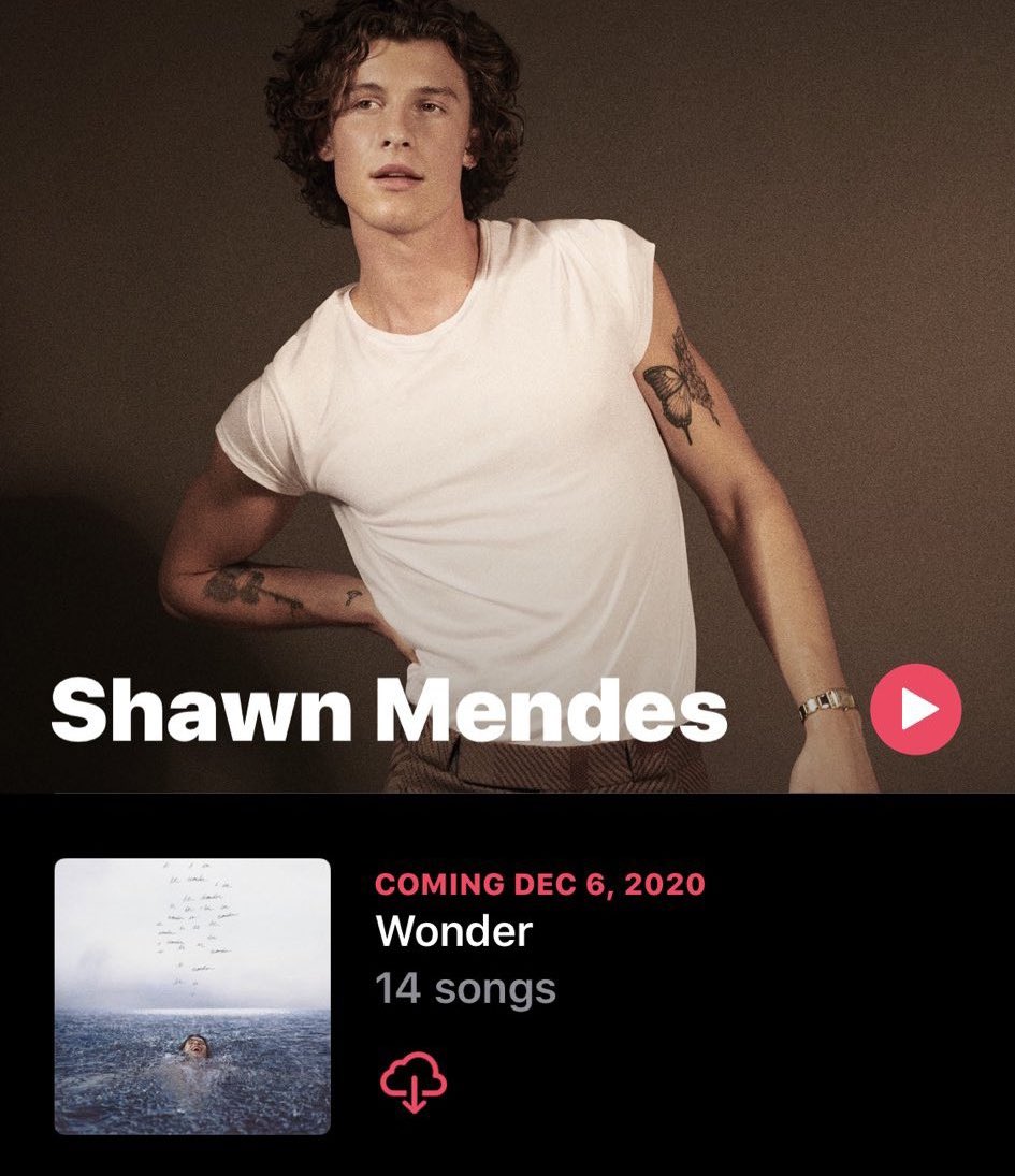 ShawnMendessArg's tweet photo. averiguar que día sale el álbum es medio comp jugar al bingo 
#wonder
#wonderoutnow https://t.co/wTrMNzOFJB