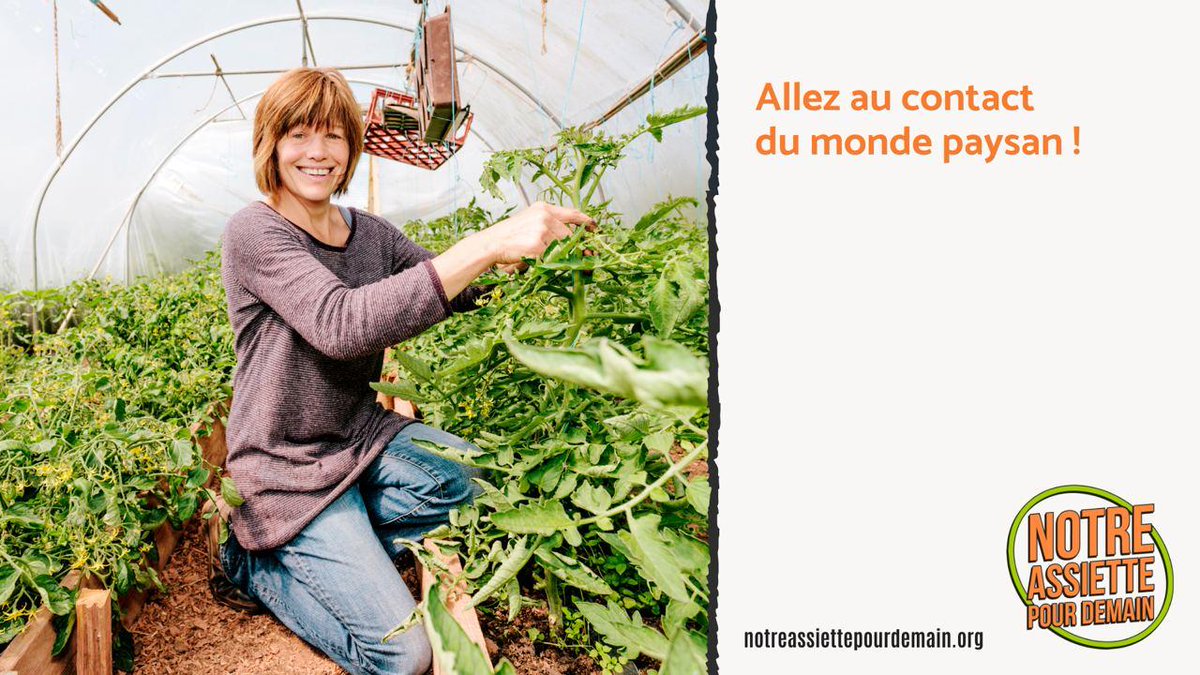 STOP MONSANTO BAYER tweet media