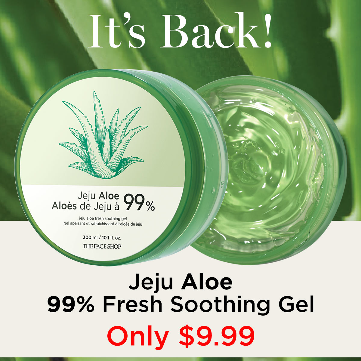 dharriswilliams's tweet image. Back by popular demand - Jeju Aloe 99% Fresh Soothing Gel is infused with 9 other soothing herb extracts. It instantly hydrates and soothes dry, sensitive skin. Non-sticky absorption. Available at avon.ca/boutique/dhw.
#jejualoe #aloeextract #bodycare #skincare #edmonton