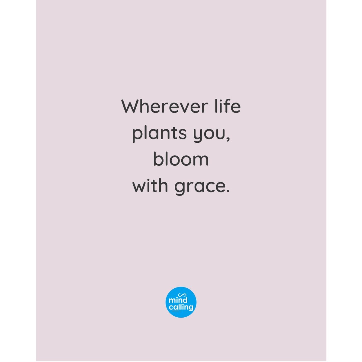 MindCalling's tweet photo. #findyourself #selfworth #selfcaretips #strongertogether #selflovery #selflove #selflovequotes #selfcareroutine #dailycalm #nourishyoursoul #selfcare #selfcarecoach #selfloveclub #selflovematters #youareenough #gratitudejournal #selfcompassion #selfimage #radicalselflove https://t.co/p5VL6GBTF0