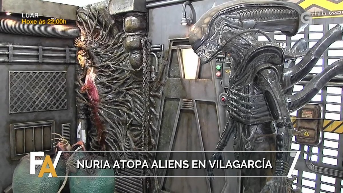 Pareceume ver un lindo gatiño. Longa vida ao #Curtas!