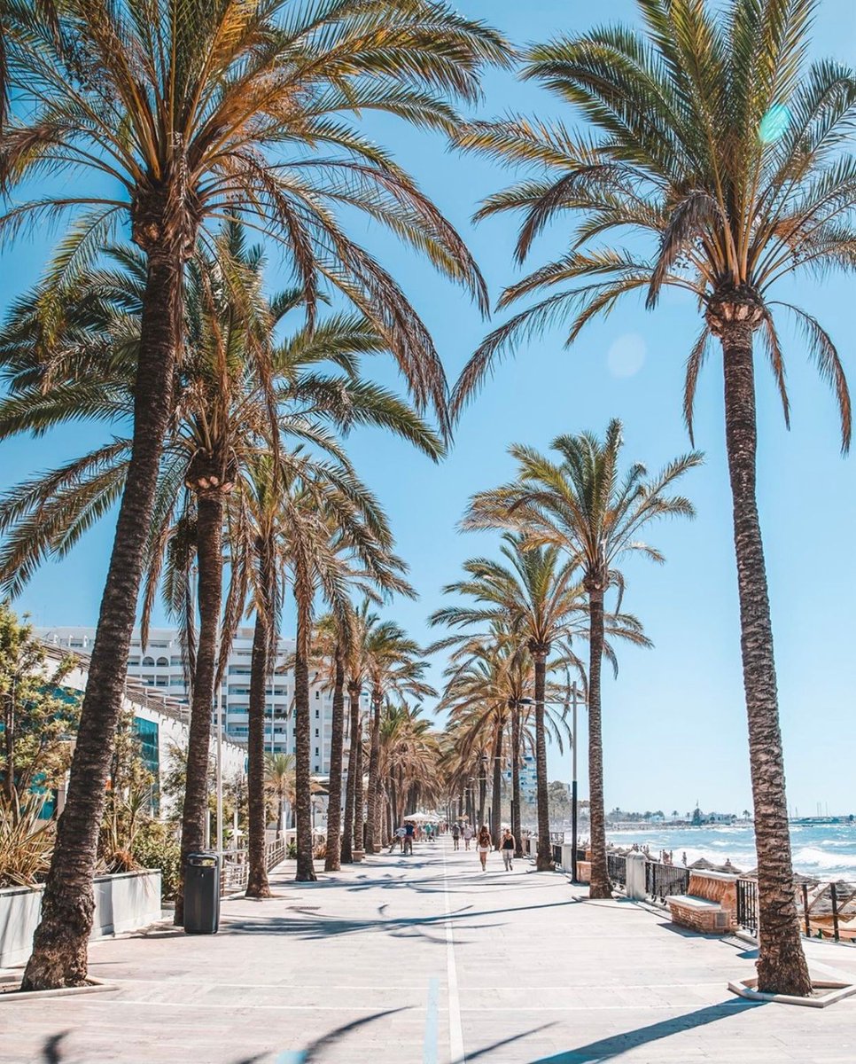 xFuzz__'s tweet photo. Marbella, España 🇪🇸 https://t.co/scXlJdjaHH