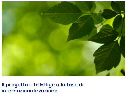 Assofond's tweet photo. Il progetto #Life #Effige alla fase di #internazionalizzazione partita la collaborazione tra @Assofond e l'associazione spagnola di #fonderia #GreenNewDeal @ScuolaSantAnna @ConfindustriaL ➡️ https://t.co/BkQcaxmsg8 https://t.co/bb9kenrqOe