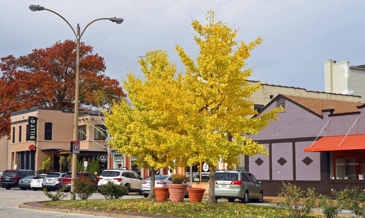 PGAV Planners tweet media