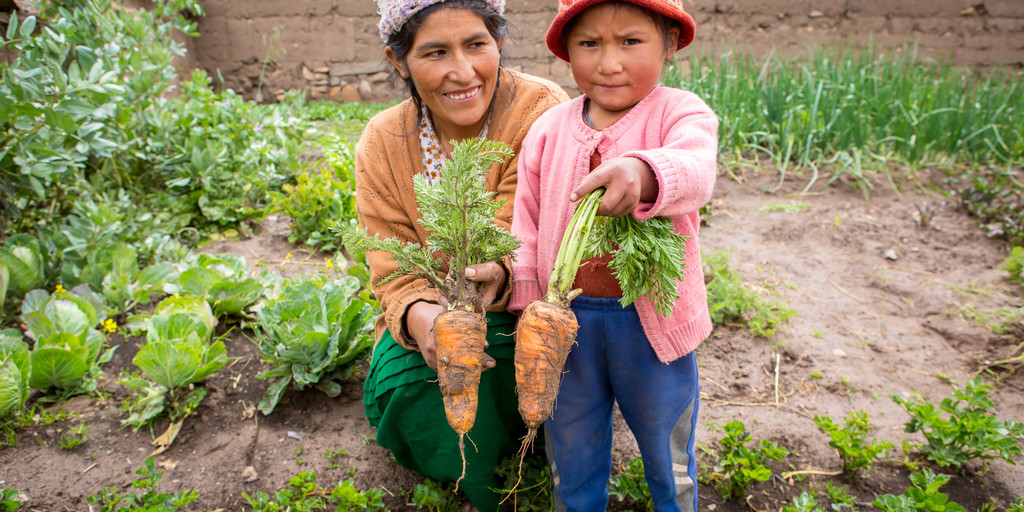 Six years ago Pope Francis published #LaudatoSi, an invitation to all people to care for our common home 🌍 

In this #LaudatoSiWeek we pray that we will moved to action to build a more sustainable future.

Find more resources here: cafod.org.uk/Pray/Laudato-S… #LaudatoSi6 🌿