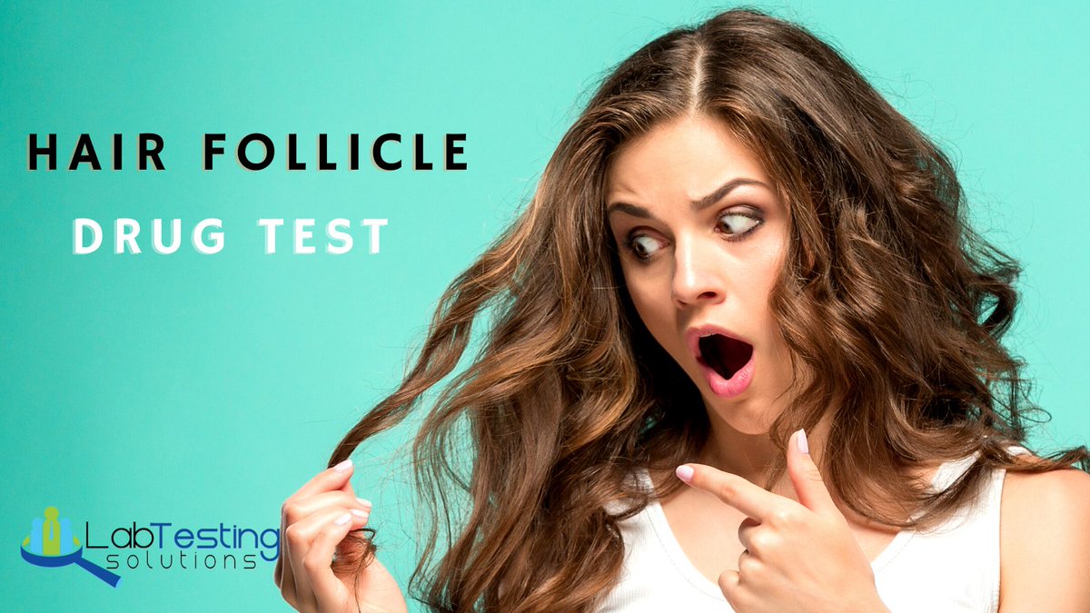 LabTestingUSA's tweet image. DID YOU KNOW - A Hair Follicle Drug Test is known to be one of the most efficient tests when it comes to detecting toxins and marijuana usage in people than Urine Testing.

#HairFollicleDrugTest  #EmployeeDrugTests