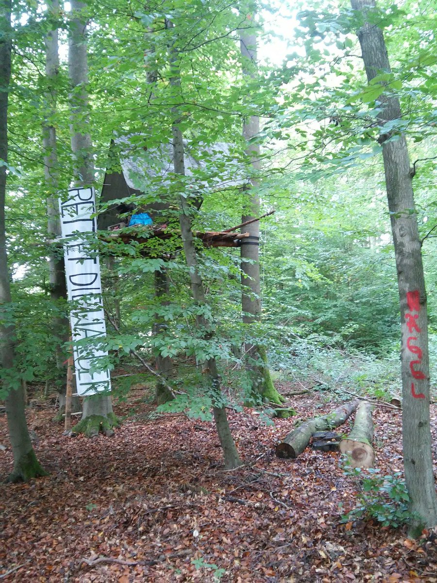 endegelaendeFfm's tweet photo. Morgen ab 9h mit Fahrrad im Zug von Frankfurt Hbf gemeinsam in den Danni! Wald, Klima, Zukunft gegen Kettensägen schützen! Auf geht's, ab geht's!
#dannibleibt #climatejustice @FFF_Frankfurt @KoalaKollektiv https://t.co/5MV8zrfDJR