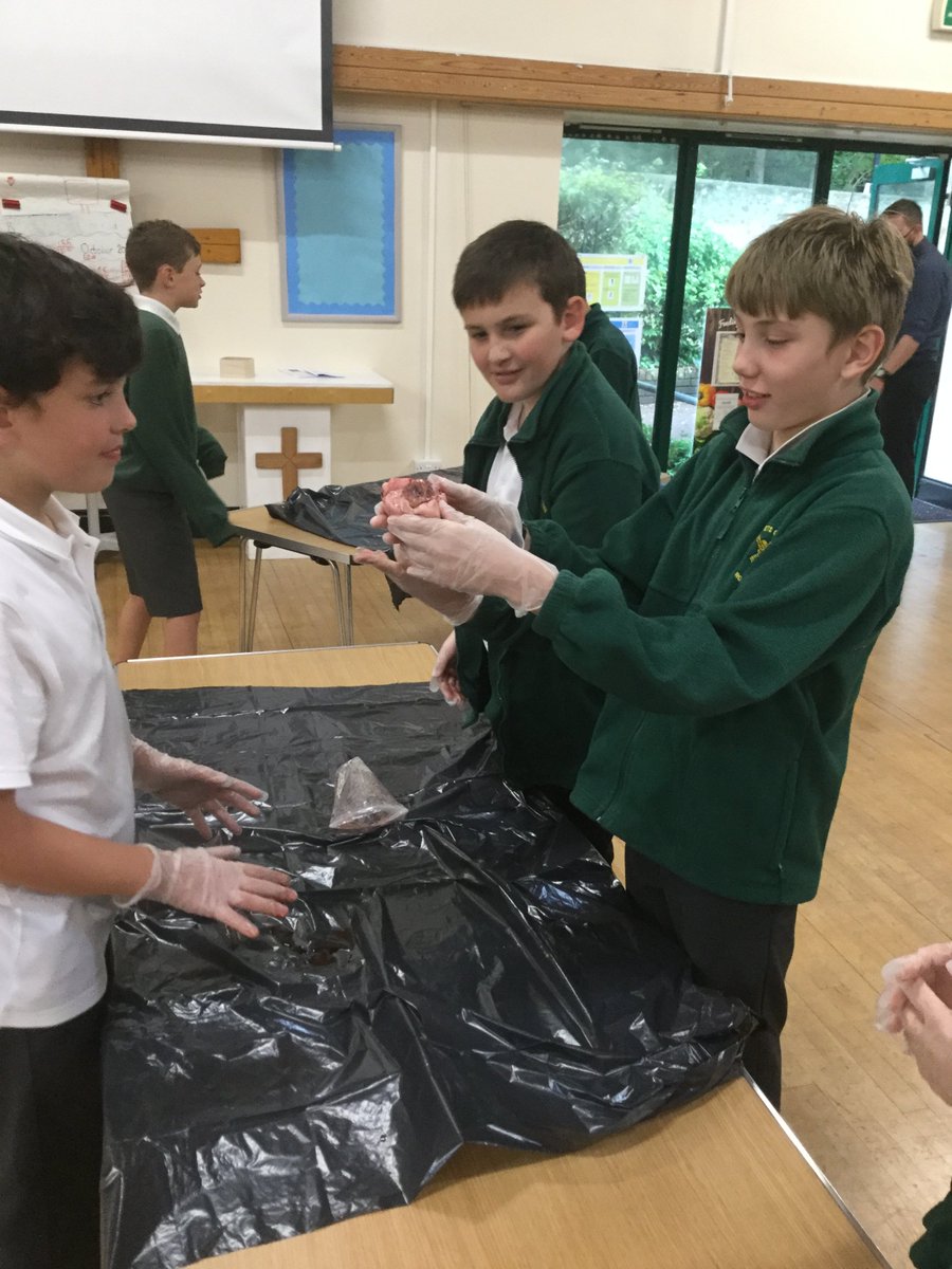 StMargaretsBN2's tweet photo. We were delighted to welcome @LonghillSchool Science Dept in today to help our Y6's dissecting Ox and Lamb hearts!! #handsonscience #schoolsworkingtogether https://t.co/XboxgACZZq