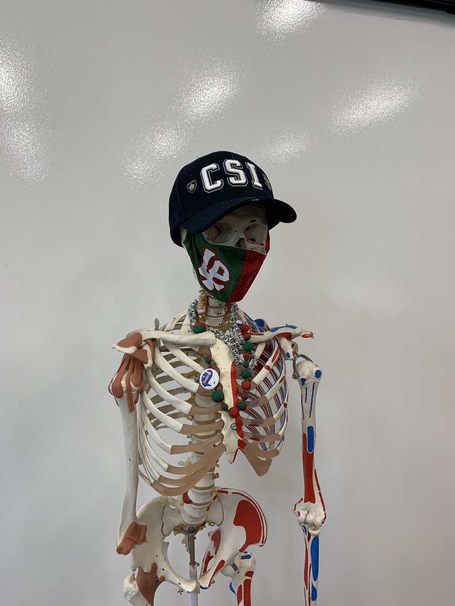 Scully says Happy LP School Spirit Day from Mrs. Kochis’ Forensic Science Classes!  We Are LP!