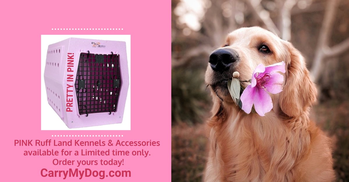It's October, and that means PINK Kennels are back. Ruff Land is warming up the machines to do a Limited Run of Pink kennels for Breast Cancer Awareness. Get yours at bit.ly/3cPxigr and get FREE SHIPPING! #Pinkkennels #RuffLand