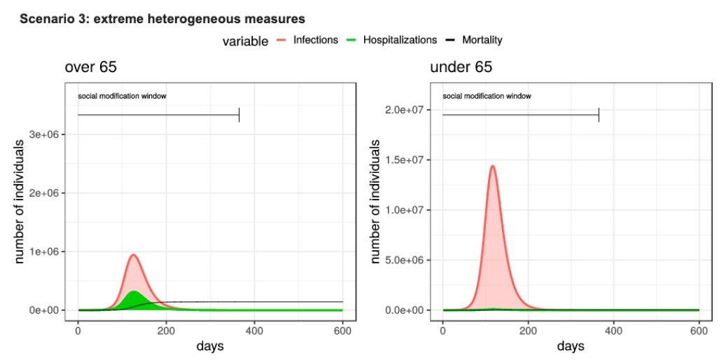 6/ They showed that hard homogeneous mitigations (lockdown) for both < and > 65 would delay a "do nothing" scenario. However, because of the asymmetry of impact between groups, extremely heterogeneous measures result in about half the deaths.
