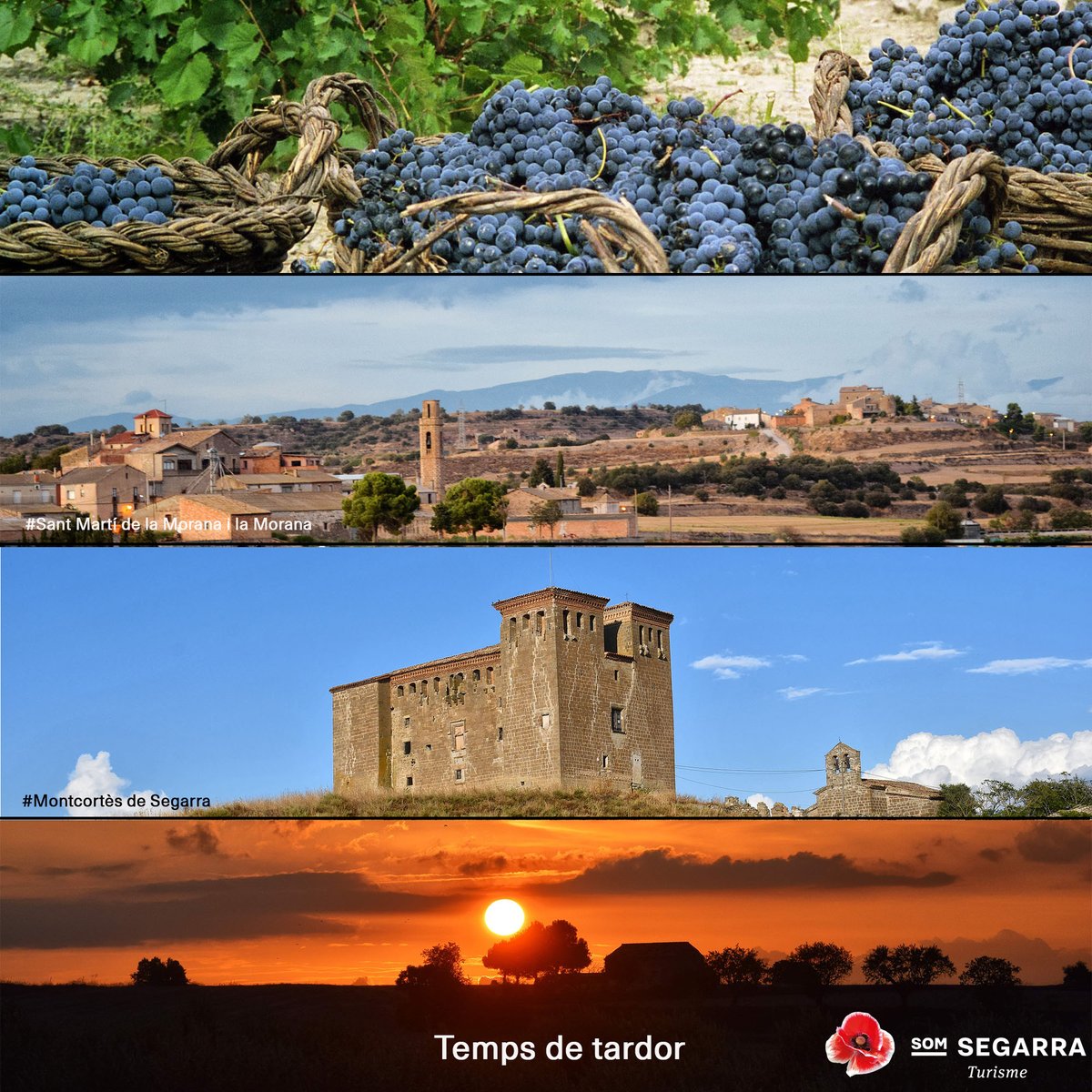 SomSegarra's tweet photo. Sense plans per al cap de setmana? Vine a gaudir la #tardorsegarra! #festamajor a #Vicfred, #concert i #exposició a #Cervera
@lasegarra @aralleida @catexperience @paeriacervera @museudecervera @Conserv_Cervera @loCarranquer @valldellobregos @CERCLEsegre
ℹ️ https://t.co/8ZHEiD1Ad2 https://t.co/T2T7fGudgN
