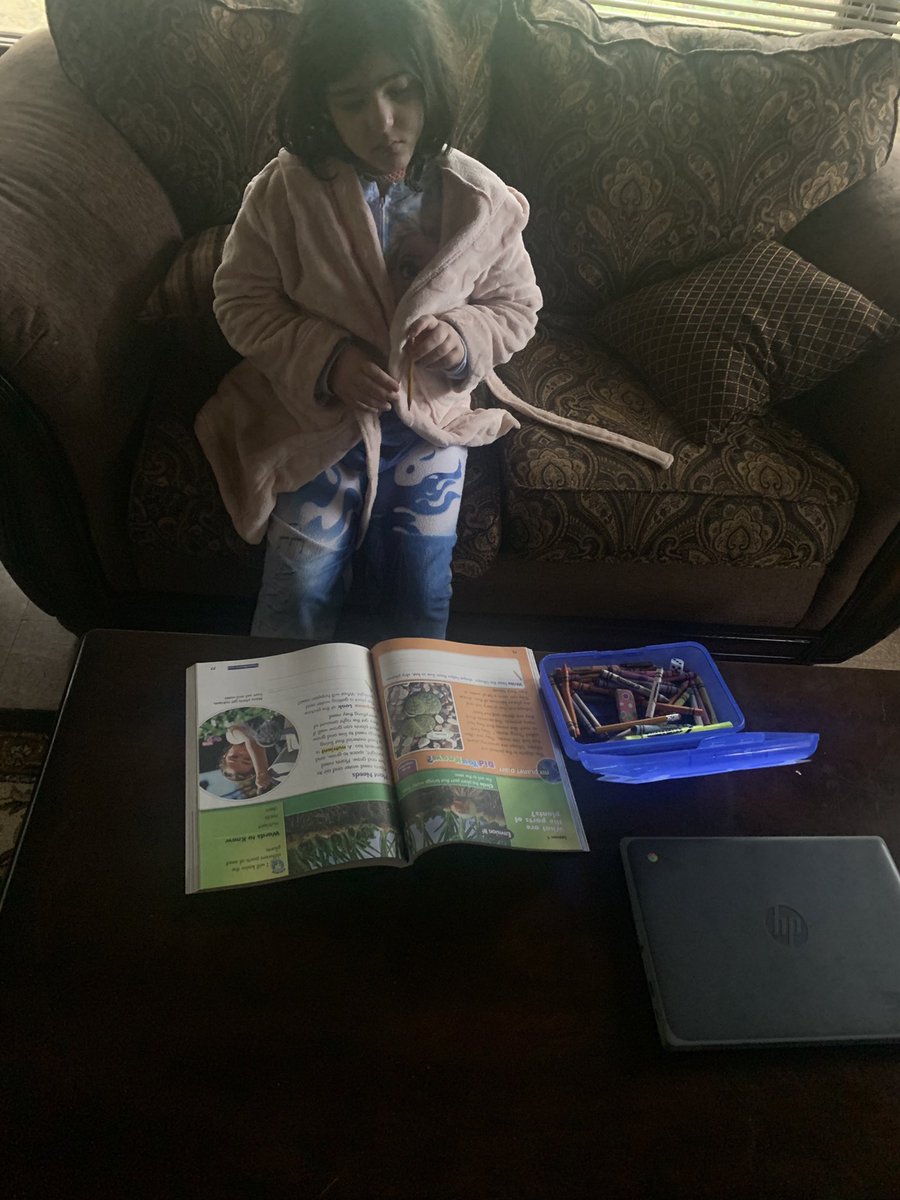 ZuratInTwo's tweet photo. We are learning lots about seeds this week! https://t.co/R2xpQJ6jIQ
