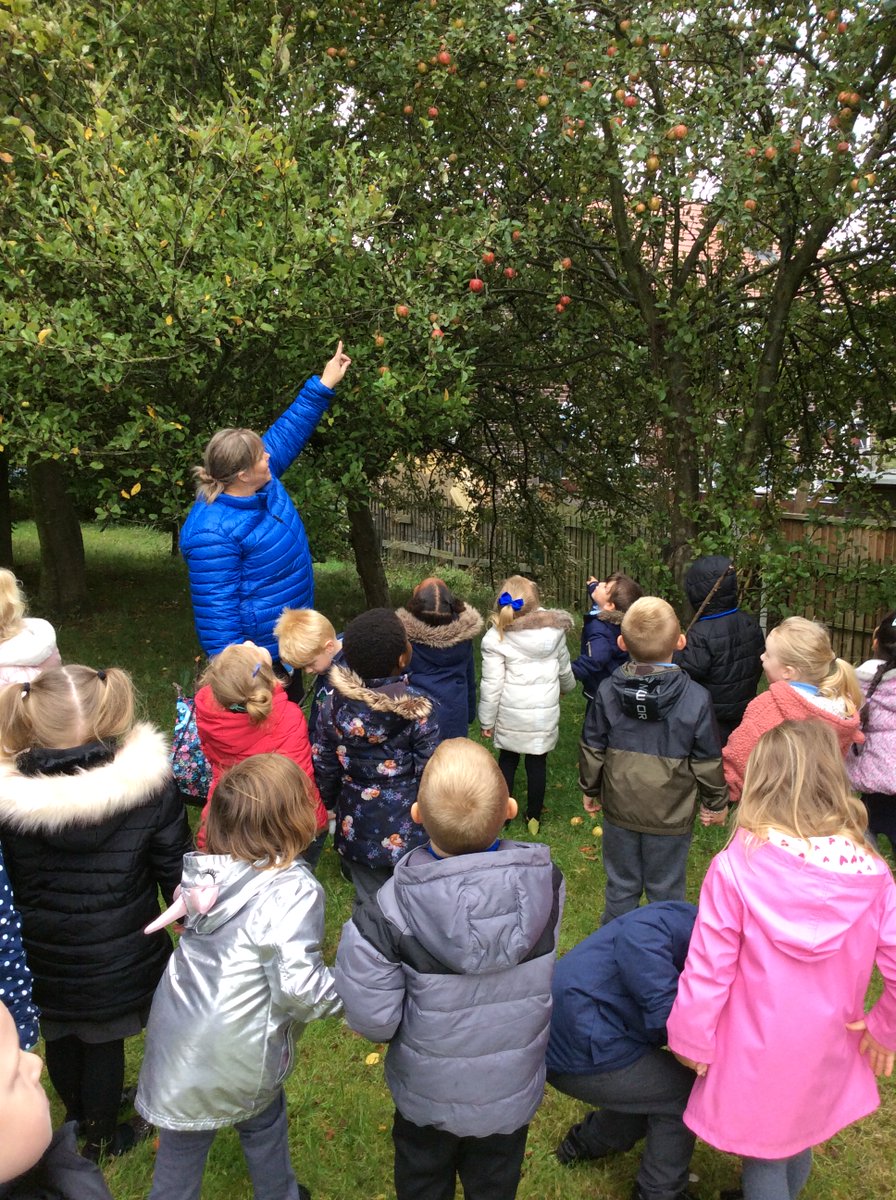 MeynellSchool's tweet photo. The FS2 children enjoyed looking for Autumn treasures including sticks, leaves and feathers. We also heard lots of nature sounds including birds tweeting and airplanes flying. Part 1. #weexplore https://t.co/VnP7erS5Lh