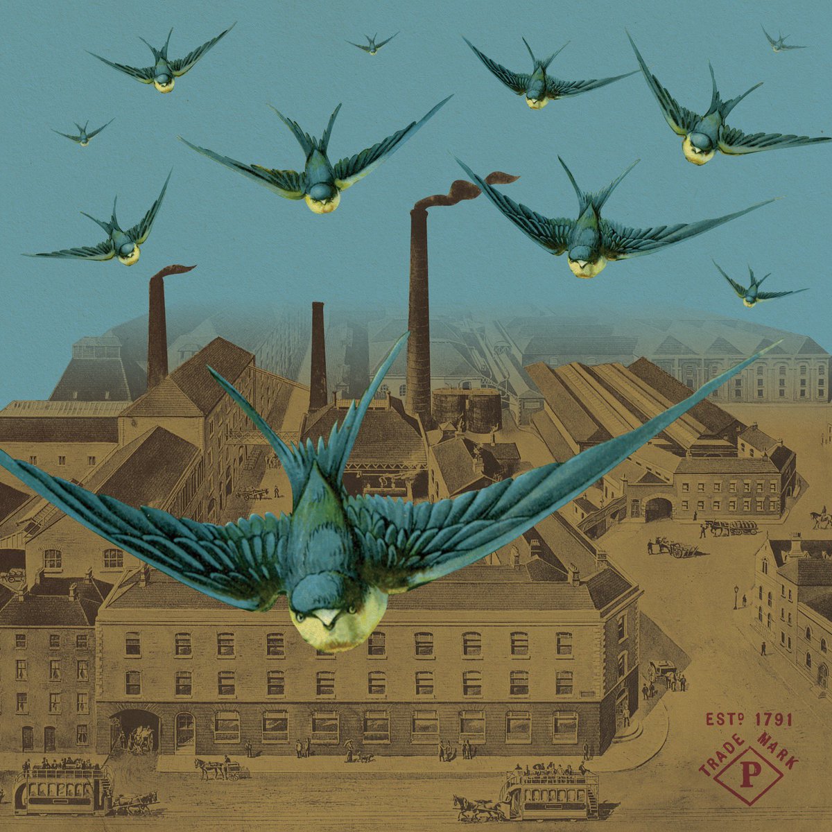 Powers_Whiskey's tweet photo. The #autumn migration of the Swallow signals the beginning of #distilling season in #Dublin. This tradition spans at least as long as we’ve been making #whiskey; nearly 230 years. https://t.co/30MA7r2N2S