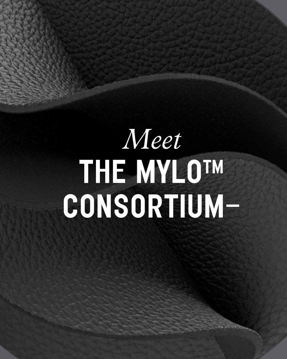 bolt_bslk's tweet photo. Meet the Mylo™ consortium: @adidas, @KeringGroup,
@lululemon, and @stellamccartney. These partners have invested in meaningful material innovation with
Mylo. Products made with Mylo will be available starting in 2021. Join the waitlist: https://t.co/TVaGwRA3GD #boltthreads https://t.co/WEwidDnbeE