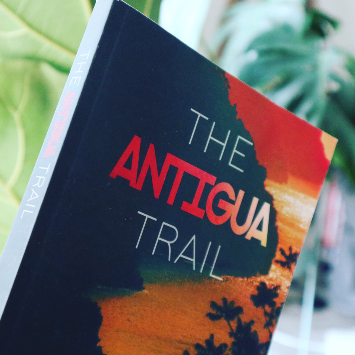 What’s on your #tbr list this month? #octoberreads #book #Halloween2020 #antigua #Caribbean #KindleBooks #bookstagram #booklovers #bookcommunity #amreading #whattoread #bookseries #bookish #bookworms #BookClub #books #bookblogger #bookreview #bookreviews #fiction