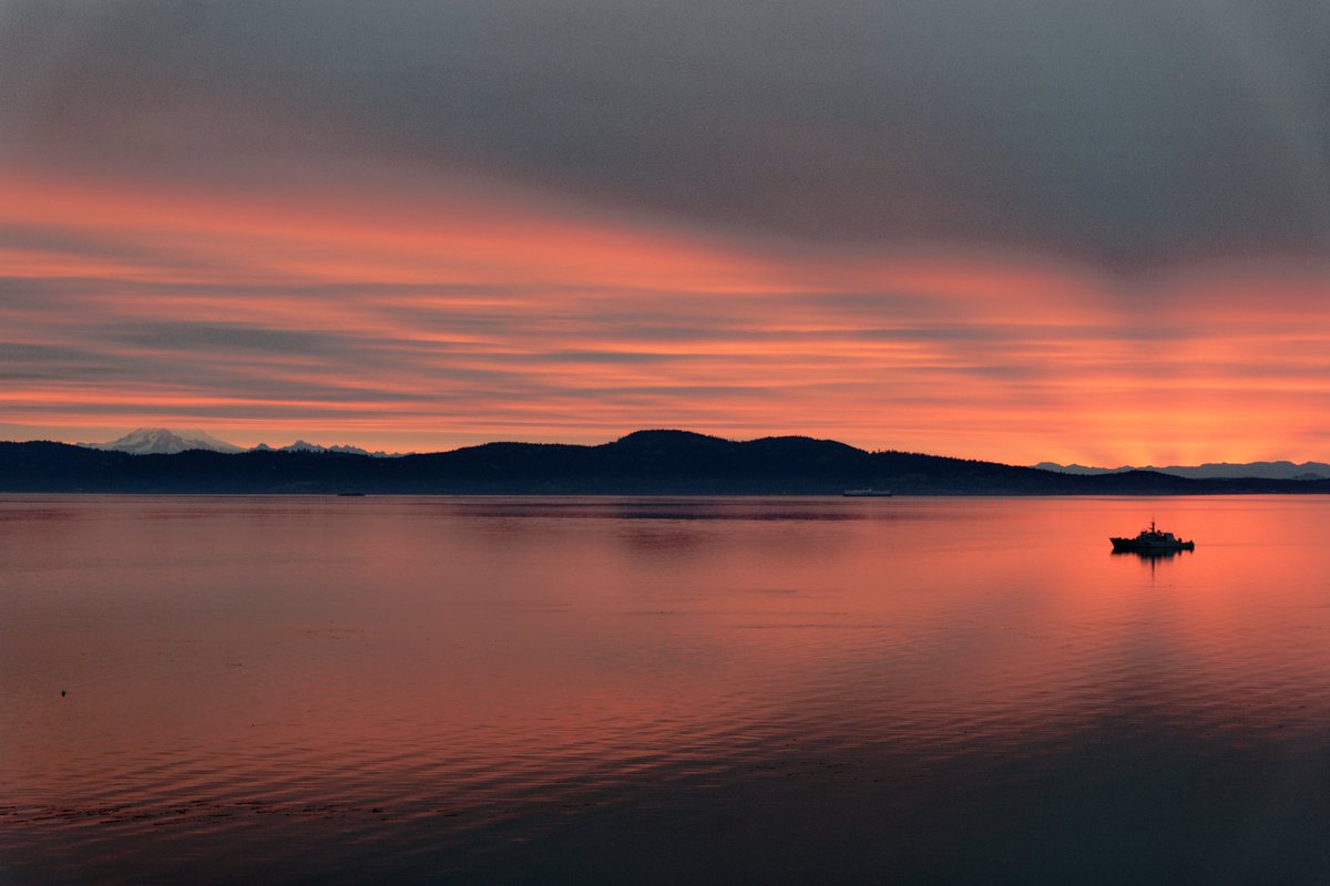 Ali Lambert tweet media