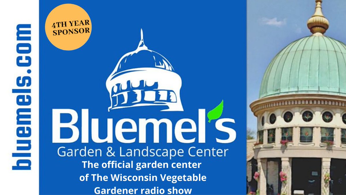 TheWIVegGardenr's tweet photo. The Wisconsin Vegetable Gardener Radio Show is live listen here https://t.co/wCa8K6VE8E  Thanks to @BluemelsGC for sponsoring the show. Family owned, independent garden and landscape center that has been serving the metro Milwaukee area since 1955. https://t.co/Is5ghLM90m