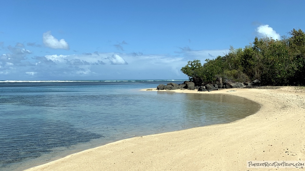 PuertoRicoDayTrips tweet media