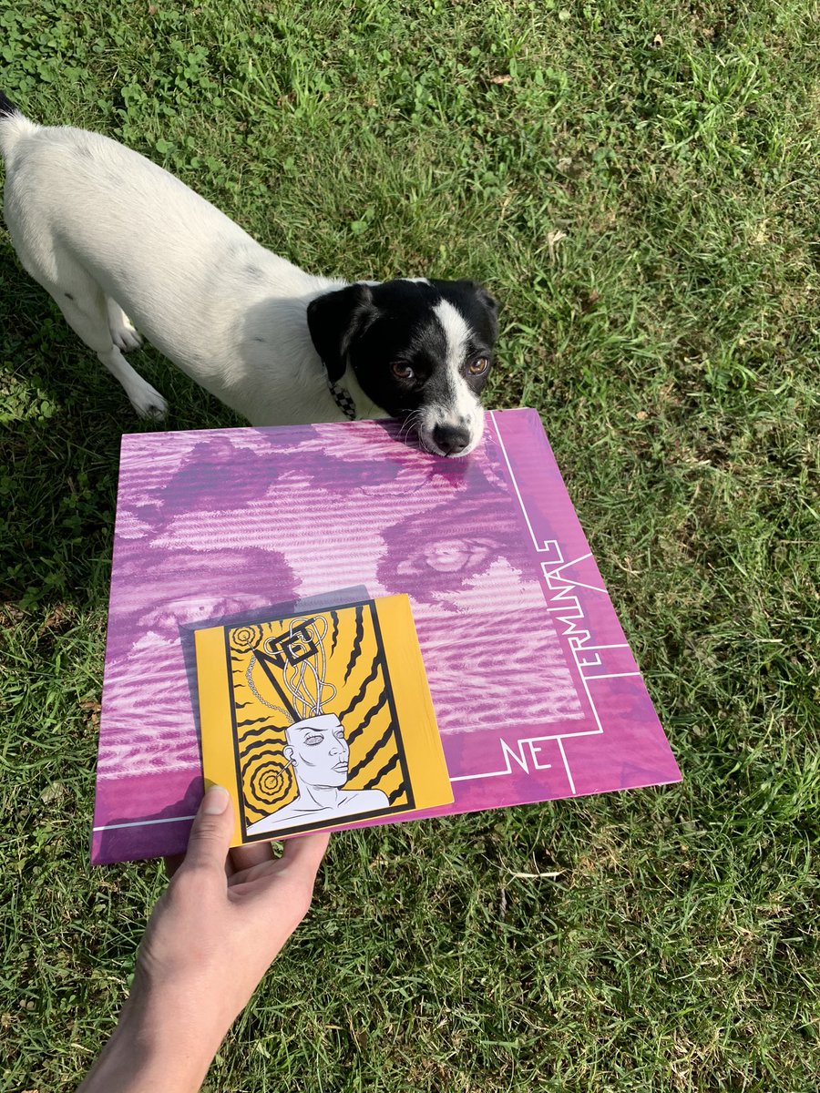 netinspace's tweet photo. 🎉For Bandcamp Friday we’re giving away a free cd of our first album Memory Swipe with every Terminals vinyl ordered.  Listen to it or eat it, it’s your choice https://t.co/grThudUJd7 ⚡️ https://t.co/QUMxGkfiUR