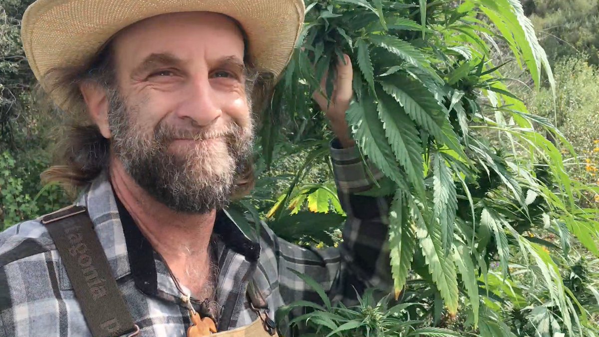 organiccowboy's tweet photo. With each #SaturnCycle I'm endeavoring 2 connect the dots in work & life-Always more 2 learn-I'm aiming 4 fewer disconnects-In kindness-balance-inputs 2 body & mind https://t.co/SUbw3TuYUi P.S. Did u see @FarmAid last week? I donated: https://t.co/HmaPp9zcX6 #AmericanHempFarmer https://t.co/jcT0IPdxMx