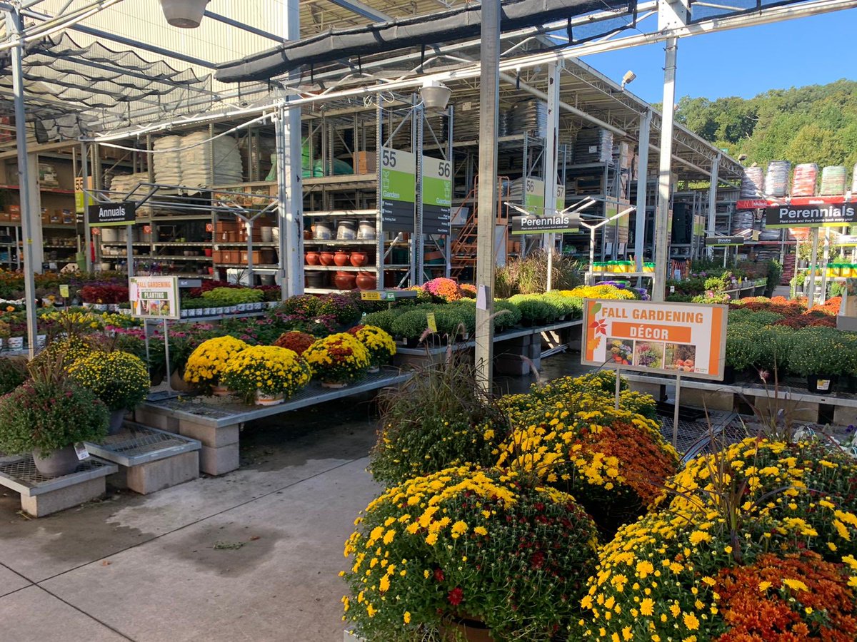 3645West's tweet photo. Garden looking good!! who wants some mums?!?😁 https://t.co/Npnzy0piRo