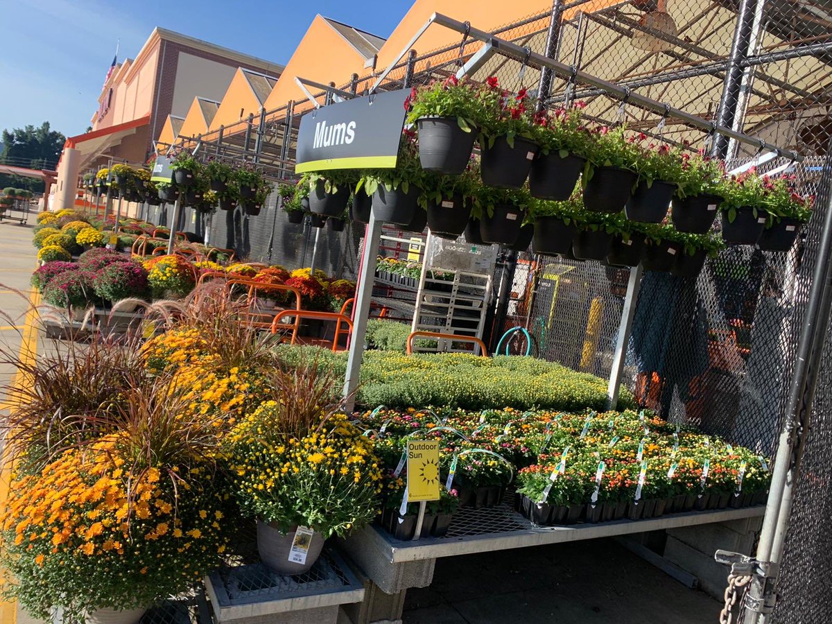 3645West's tweet photo. Garden looking good!! who wants some mums?!?😁 https://t.co/Npnzy0piRo