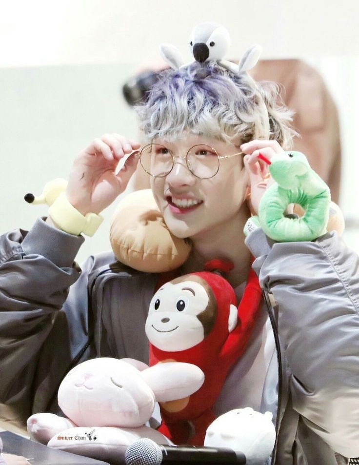 BangChan with stuffed animals !! #HappyBangChanDay #우리의_천리방_찬아_생일축하해 #OurHavenBangChan @Stray_Kids