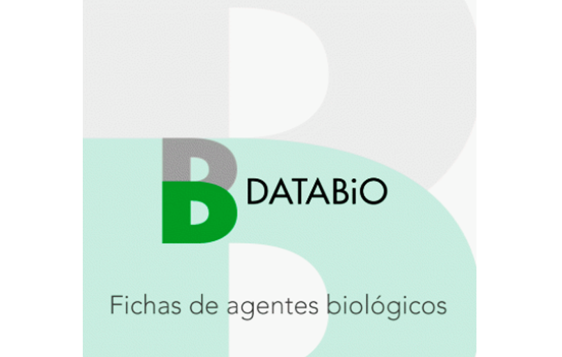 netrisk_prl's tweet photo. El INSST actualiza la base de datos DATABiO con nuevas fichas de agentes biológicos
https://t.co/v9YN2YzKX1
#agentesbiologicos #databio #prl https://t.co/SnxobvHBum