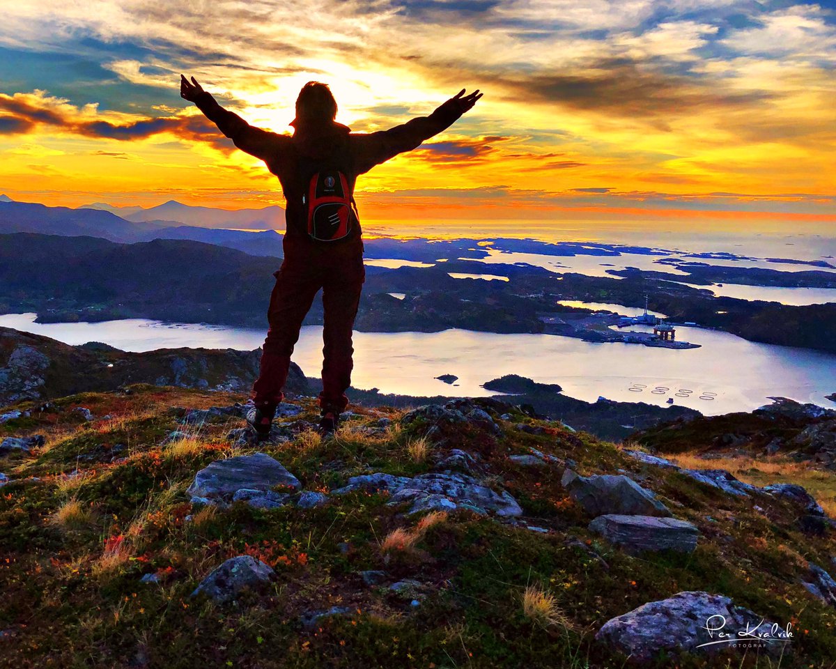 Per Kvalvik tweet media