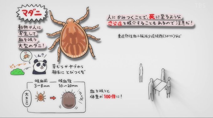 マダニのtwitterイラスト検索結果