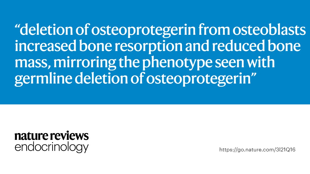 Nature Reviews Endocrinology on Twitter: "AOP #ResearchHighlight: Discussing the of two papers investigating the source of #osteoprotegerin https://t.co/TL36dMexlP (£) #bone / Twitter