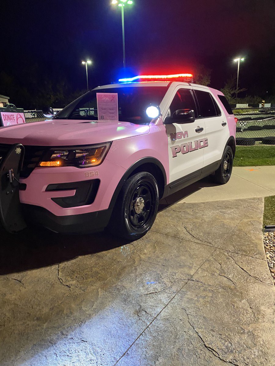 Our first night of the Pink Police Car in the community raised nearly $500! Thank you to Paradise Park <a href="/ThePartyCapital/">Paradise Park Novi</a> for hosting this event in support of Mr. Hugh Crawford’s Real Men Wear Pink Campaign. Special thanks to Ofc. Roberts &amp; Clerk Kleimola for assisting.