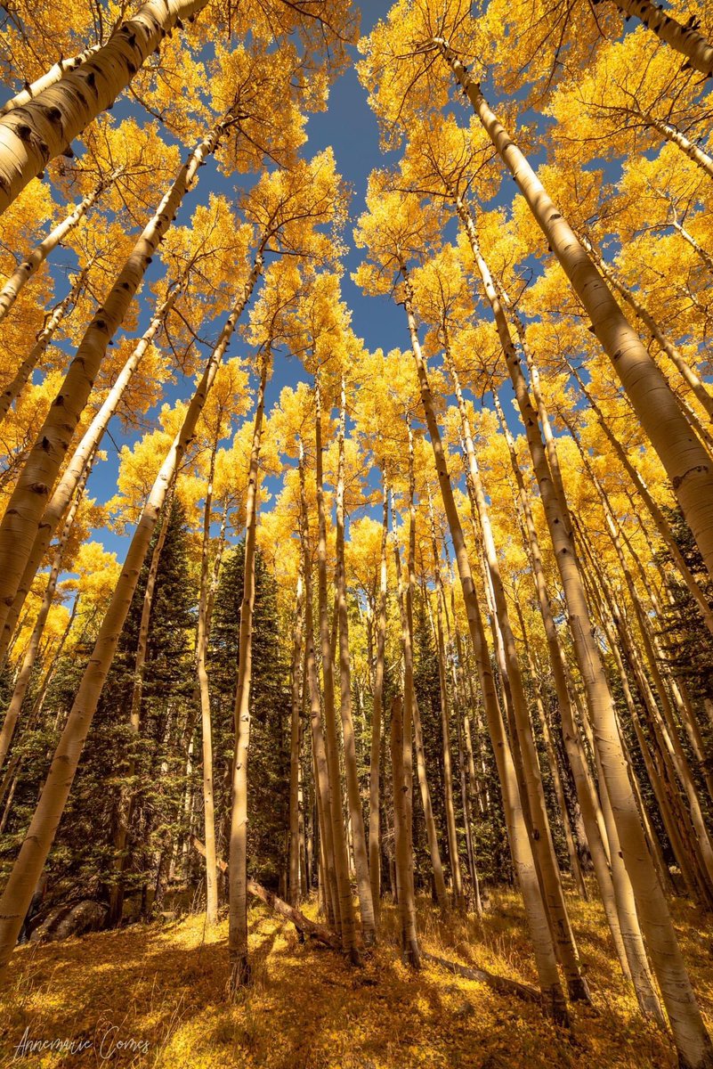 <a href="/CDHBERLIN/">CDH</a> <a href="/FWWinterberg/">Franz W.Winterberg</a> <a href="/MartinaRosemann/">𝙈𝙖𝙧𝙩𝙞𝙣𝙖 𝙍𝙤𝙨𝙚𝙢𝙖𝙣𝙣 🌹😎🇩🇪</a> <a href="/BirgitBea/">Birgit Bea</a> <a href="/guckma60/">@guckma60.bsky.social guckma60 © TM</a> @LOSinBBb <a href="/witchhusband/">Julian Haynes</a> <a href="/Kleidergroessen/">@kleidergroessen.bsky.social 👗👖👔👠👟📏</a> <a href="/NickChopperDigg/">The Tin Woodman 🇨🇦📚🎶🐱🫐✝️✈🏃‍♂️🛶🎨🌳</a> <a href="/JulieKusma/">Julie Kusma, Author of 80+ Books (Fic & Nonfic)</a> <a href="/immofux/">IMMOFUX ® Immobilien</a> @LudMarx1 <a href="/NewsSantPere/">Costa Brava</a> Thank you and..... 
Schönes Wochenende!✨🙏✨🍁🍂🍁