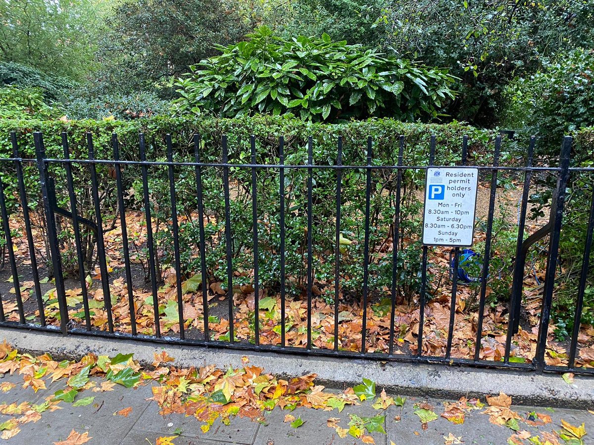 DoorHamilton's tweet photo. Hamilton Door Services team carry out this emergency railing. 

The team were on hand to remove the railings straighten were required and re-install.

#hamiltondoorservices #railings #damage #garden #park #repair #installation  #security #london #essex #chigwell #kent #harlow https://t.co/CyqJN5ov70