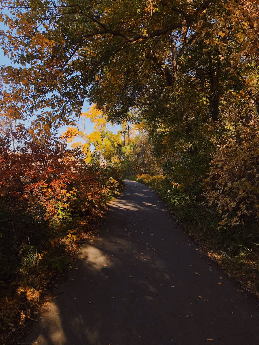 Friday morning run for #uledwellness <a href="/ULethbridgeEdu/">ULethbridgeEducation</a> !! 🍂🍃 woohoo!!!