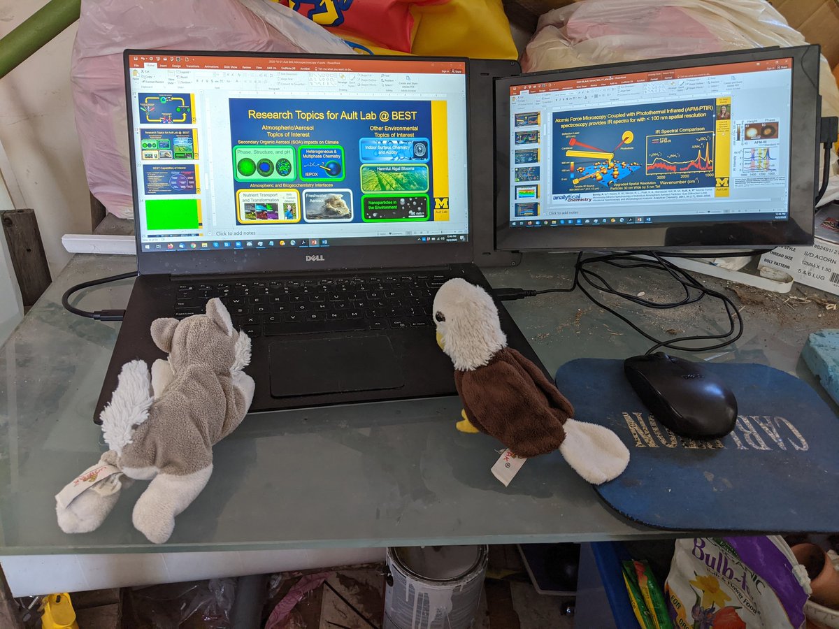 Andrew Ault On Twitter That Moment When Hiding In The Garage For A Presentation To Folks At A National Lab And Your Son Insists That His Wolf And Eagle Have Questions About