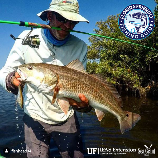 FloridaSeaGrant's tweet photo. This #FLFriendlyFriday, we recognize the first ever Florida Friendly Fishing Guide: Brian Stauffer of @FishheadKayakCharters! Brian took the course as soon as it opened in Sept 2019. Learn more @ the program: https://t.co/WXeFkqgwM4.
@NCBS_UF_IFAS #FLFishing @myfwc https://t.co/jwuNavnRkI