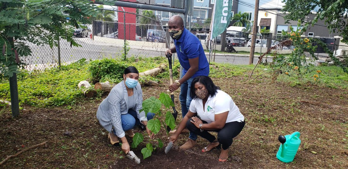 ForestryDeptJa's tweet photo. Our staff playing their part in planting trees and flowers for a healthier and aesthetically pleasing environment and healthier people.
...
#ForestryDeptJa #NTPD2020 #trees4health #plantatree #treesmatter https://t.co/obMmLUZDdd